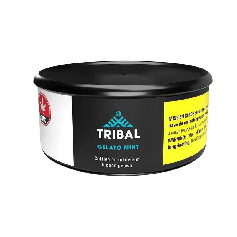 Gelato Mint - Image 3