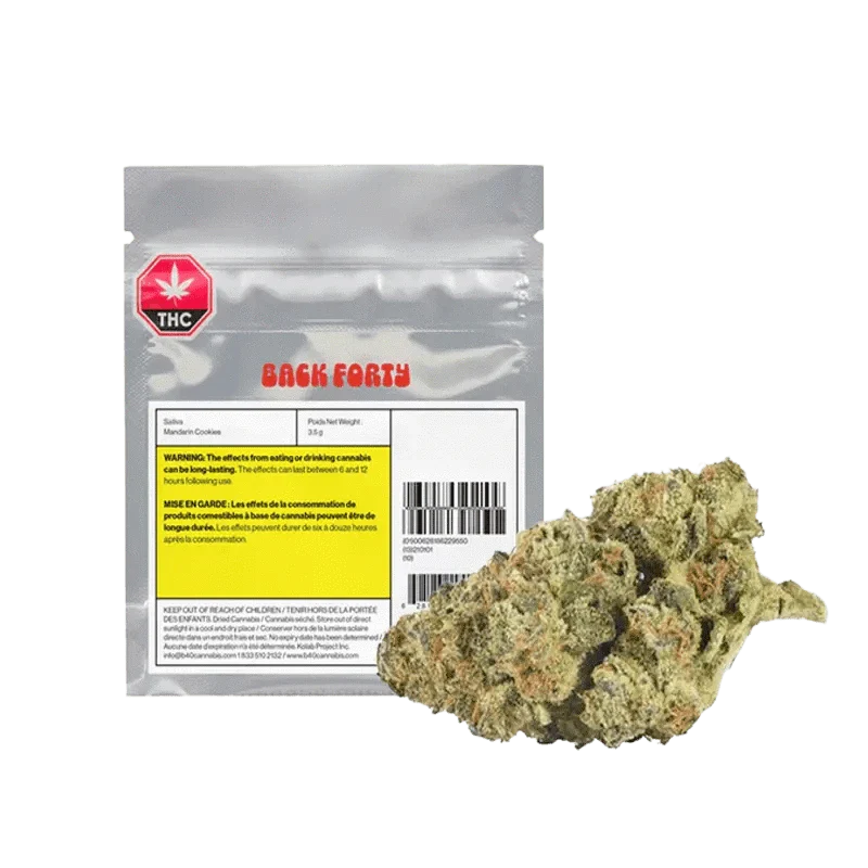 Mandarin Cookies - Image 4