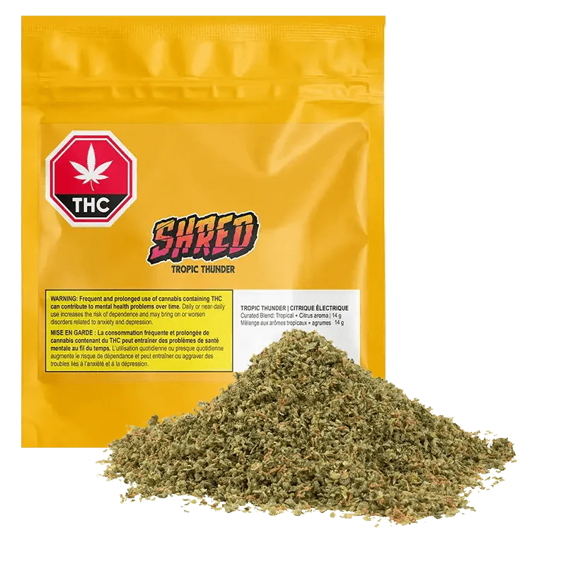 Tropic Thunder - Image 4