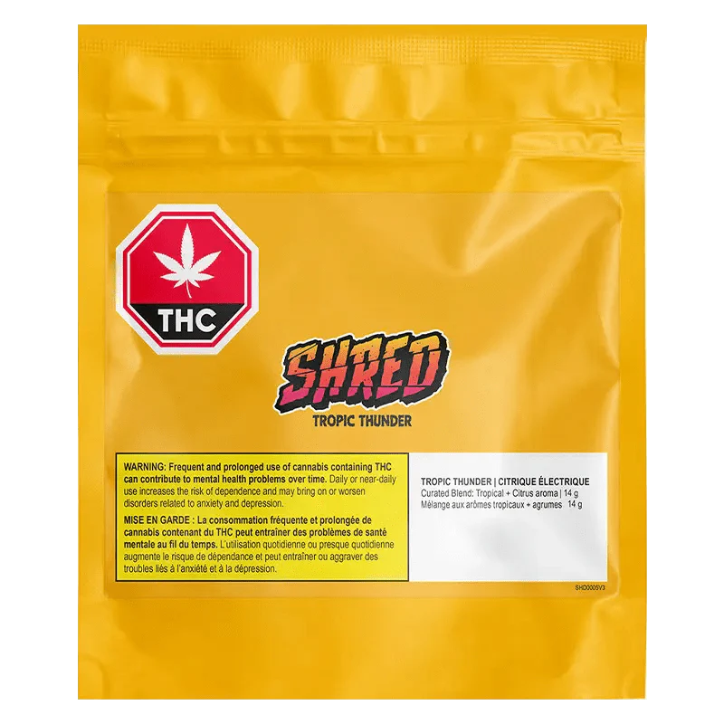 Tropic Thunder - Image 5