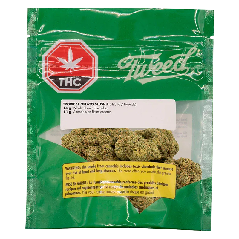 Tropical Gelato Slushie - Image 3